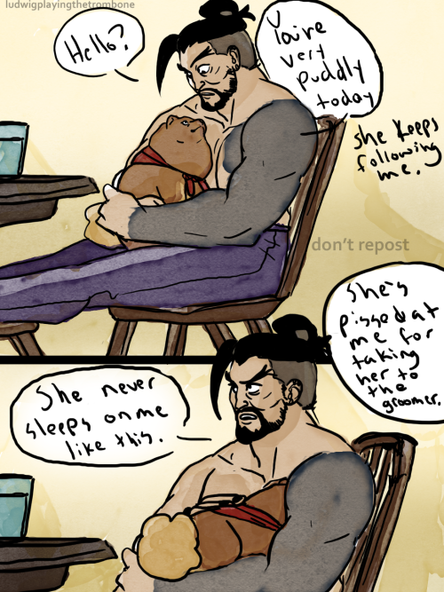 ludwigplayingthetrombone:Lil feel-good hanzo tums time! Percy was being very very puddly and needed 