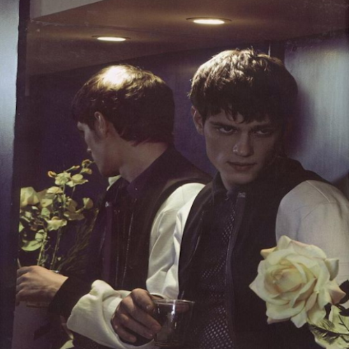moodyinapinkbow:Moodboard: Charles Baudelaire - Les Fleurs du Mal. “My heart is lost; the beasts hav