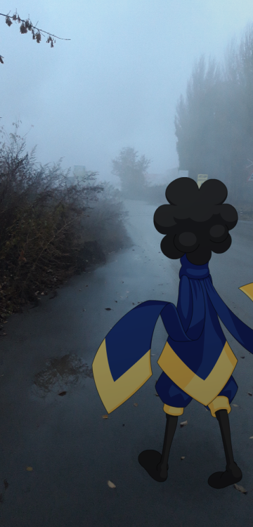 Foggy, misty road.