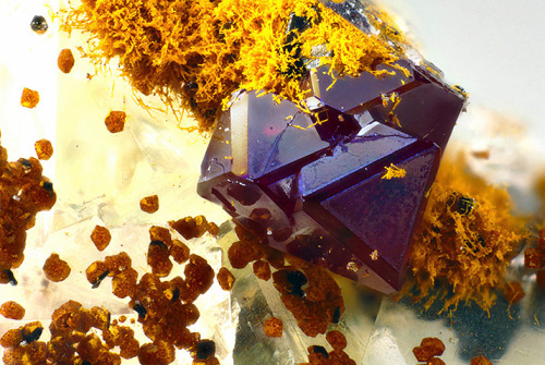 underthescopeminerals:    Cuprite   Locality:Clara Mine, Rankach valley, Oberwolfach, Wolfach, Black Forest, Baden-Württemberg, Germany    Collection & Photo Matteo Chinellato  