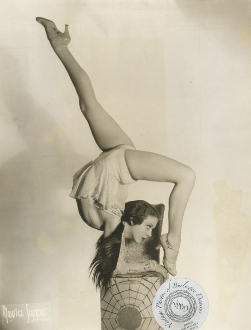 XXX burlyqnell:  Barbara Blaine: vintage 8x10 photo