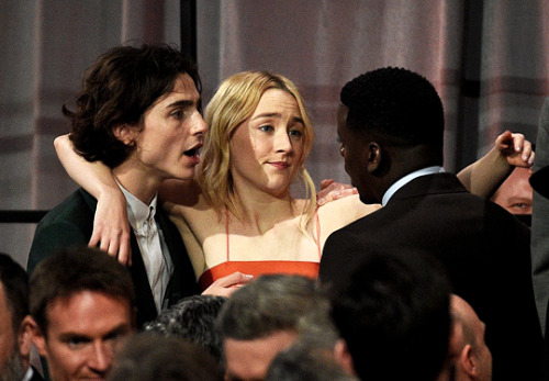 tchalametdaily: Timothée Chalamet &amp; Saoirse Ronan &amp; Daniel Kaluuya 90th Annual Academy Award