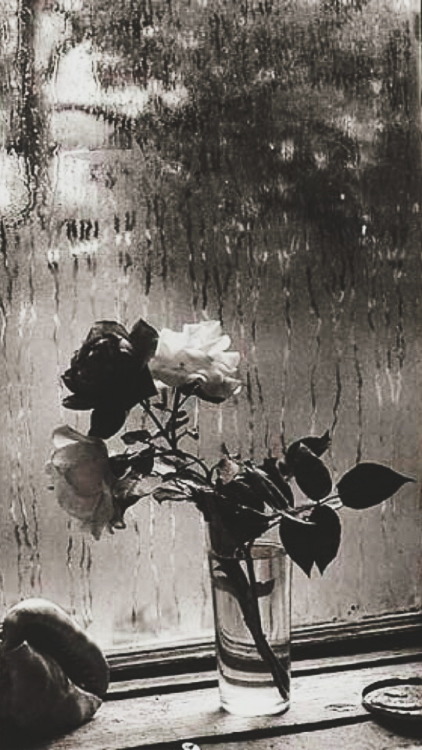 psychoscreen:P S Y C H O S C R E E N ⠀⠀Black Roses