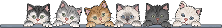 Do You Wanna See My Cat? Pt. 3