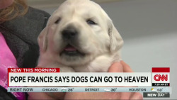 edgarallanfuck:  in third grade my dog died and my teacher told me that all dogs go to hell because the bible said so and i started crying so she gave me a detention and now the pope says shes wrong so whos going to hell now fuck you mrs. sarmento   The