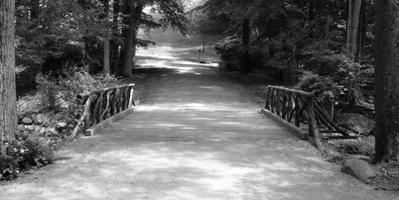 Tumblr Photo