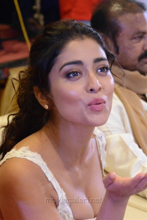 sexy-indian-actress:Shriya Saran#1028#35520 Followers…Most Beautiful Actress Shriya Saran#1117#50885