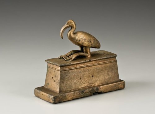 brooklynmuseum:The majestic “sacred ibis” has a white body, black neck, legs, and wingtips, and a da