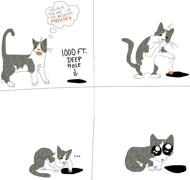 cheetahs:my cats’ thought process