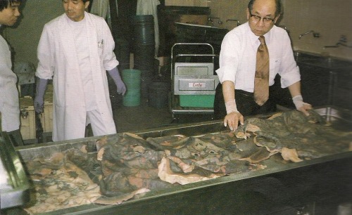 haetae:  “The Medical Pathology Museum of Tokyo University contains a collection of around 105 preserved human skins tattooed in the traditional Japanese style, including a number of full body suits.”http://sitesofmemory.tumblr.com/post/36610985742/