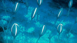 kirei-na-jinsei:Do you know my other name ? Echoes, the song of a hundred flowers