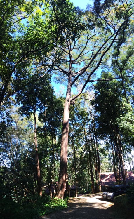 trailsfromhales:  Photos from the bike trip