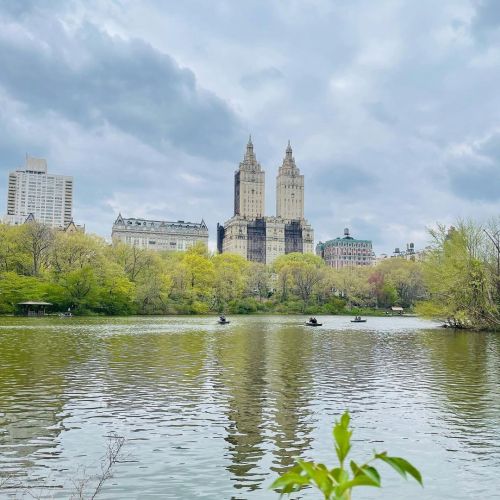 Beautiful day in Central Park! I said it before and I’ll say it again (and again) - after seeing so 