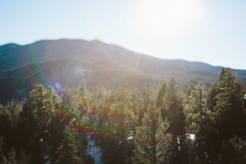 Sun Glare near Bishop’s Castle Colorado. (by Malissa Ahlin for PULP)