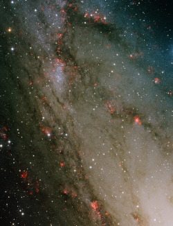 spaceplasma:  Star forming region, NGC 206  NGC 206 is a massive star-forming region (also known as an “OB association”) embedded in the Andromeda Galaxy (M31). It is clearly visible in the center to upper-left corner of the image. It is estimated