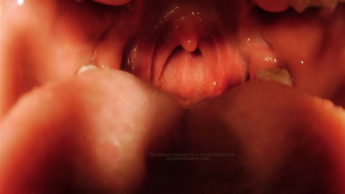 Hot mouthshots from my newest endoscope vid to date The Perfect Ending to a Toothslave&rsquo;s L