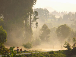 bojrk:  kibuye, RwandaUnknow 