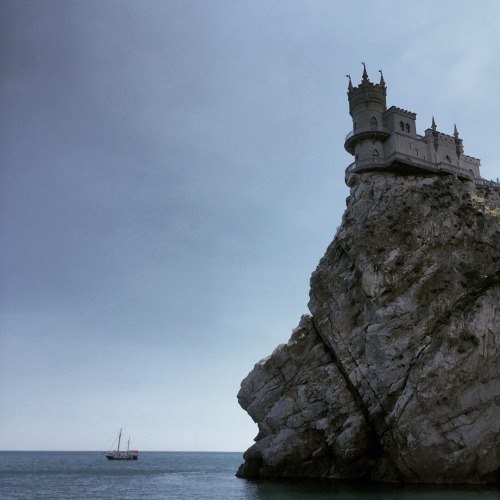 -Swallow&rsquo;s Nest-