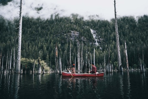 in a forest, in a lake.instagram: @graeme_o