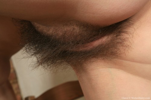 Meaty hairy pussy