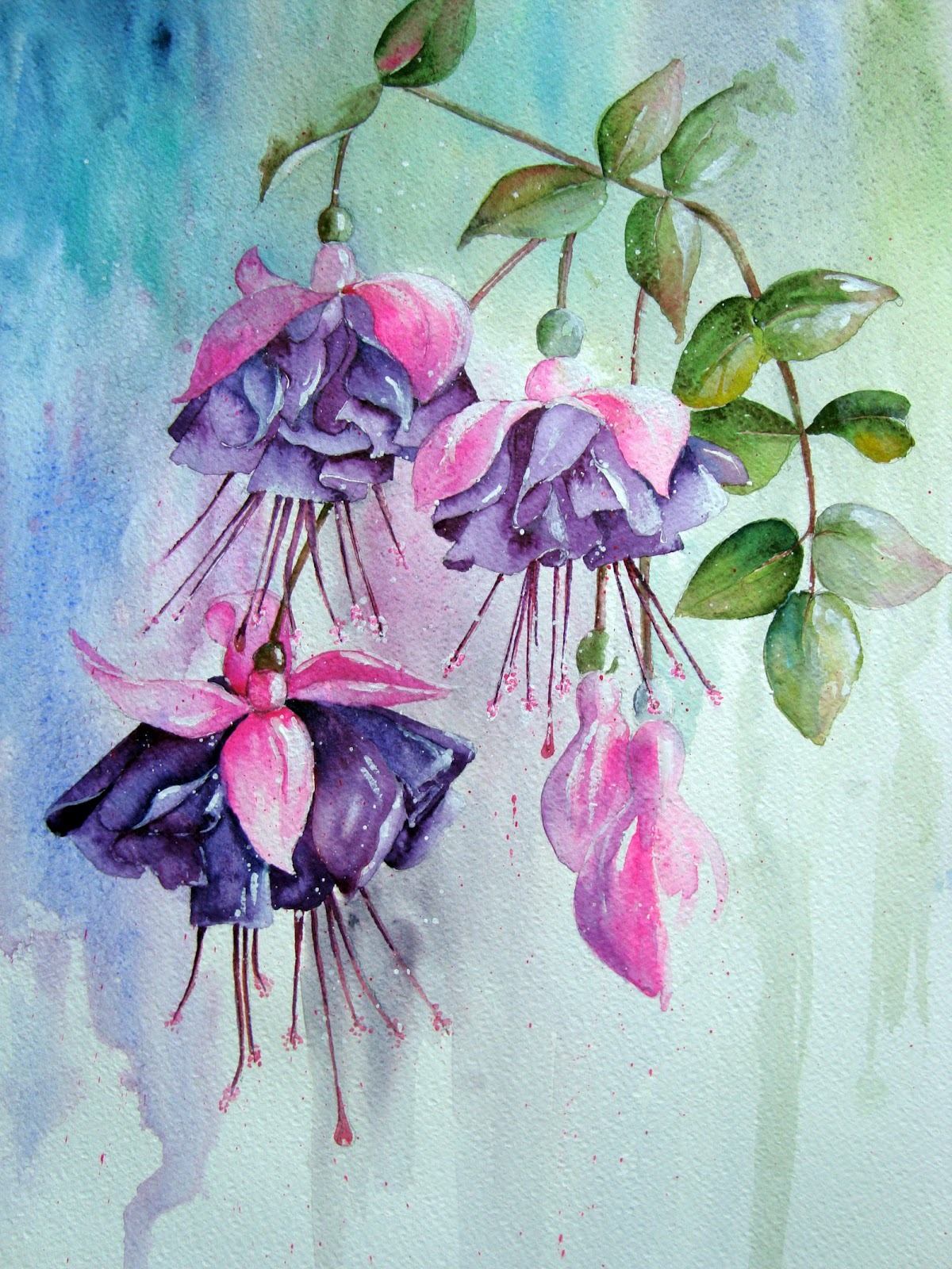 floralls:floral watercolors by   Yvonne Harry