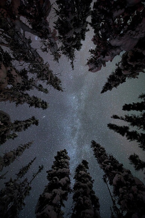 ourlittlesecretlust: ponderation:Starry Night by Adam Hill