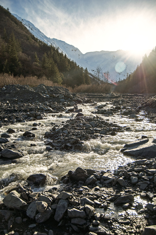 Hiatus broken. After days, days, and days of rain, Seward is rewarded with sun. Bring on the blown o