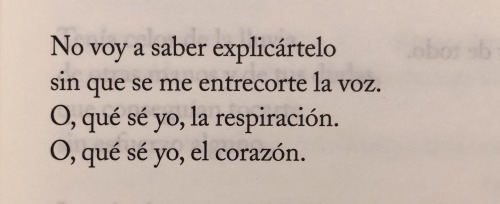 —Anatomía De Una Bañera, Júlia Peró