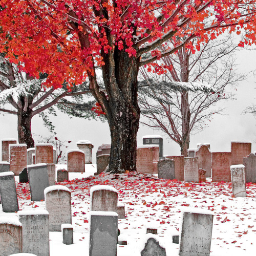 jaimelannister:  Cemetery in October Snow by Vermont Lenses
