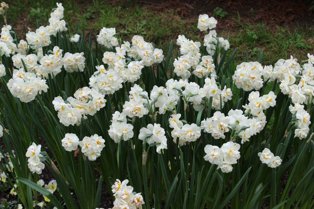 pocula:May 9, 2014