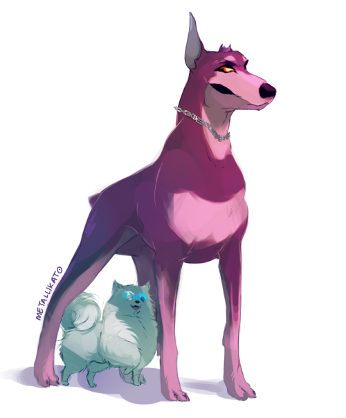 MTMTE Pet AU: Doberman!Cyclonus and Pomeranian!Tailgate  I just wanted to draw Tailgate as a po