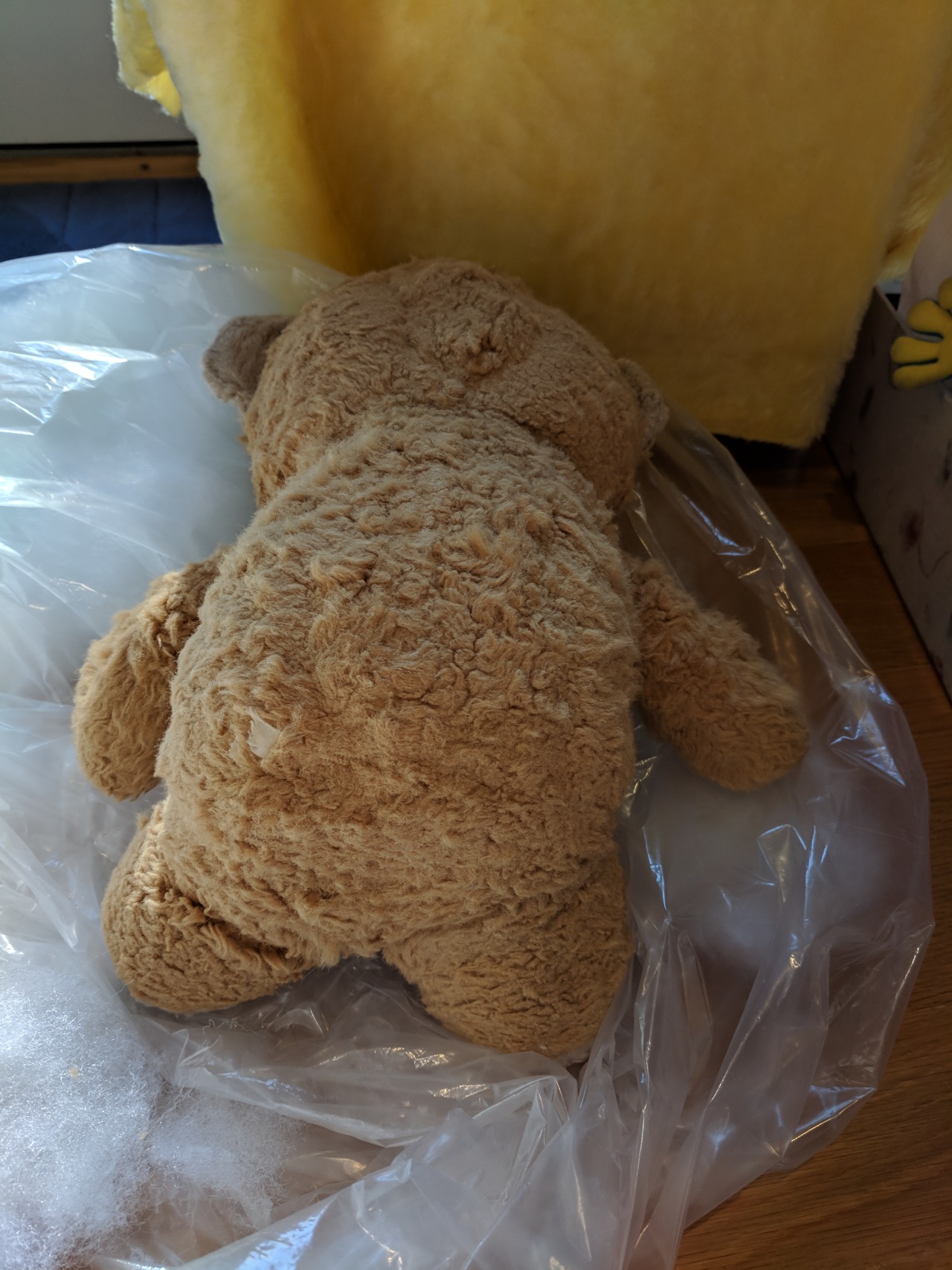 Teddy for Christmas