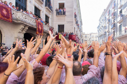 useless-catalanfacts:Jornada castellera de les Fires de Sant Narcís 2016.Photos by Ajuntament de Gir