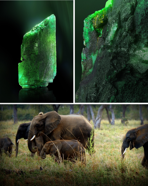  Chopard’s “Insofu” Emerald,‘Insofu’ meaning elephant in Bemba, the language of the people living in