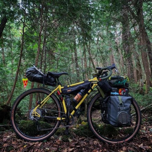 green-cog:#BIKEPACKING #CAMPING #BIKETOCAMP #GRAVELGRINDER #GRAVELRIDEwww.instagram.com/p/B1