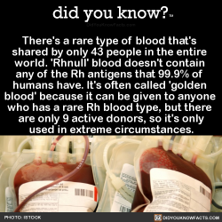 did-you-kno:  There’s a rare type of blood that’s  shared by only 43 people in the entire  world. ‘Rhnull’ blood doesn’t contain  any of the Rh antigens that 99.9% of  humans have. It’s often called &lsquo;golden  blood’ because it can be