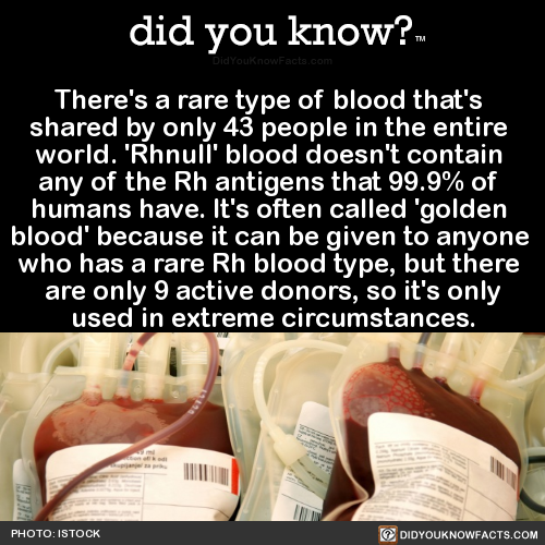 did-you-kno:  There’s a rare type of blood that’s  shared by only 43 people in the entire  world. ‘Rhnull’ blood doesn’t contain  any of the Rh antigens that 99.9% of  humans have. It’s often called ‘golden  blood’ because it can be