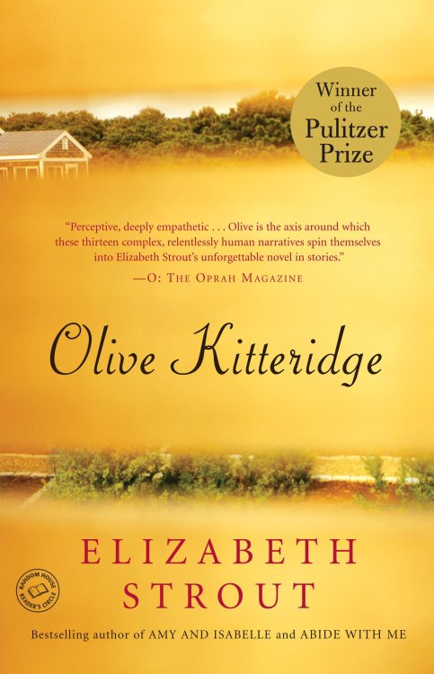 Elizabeth Strout’s Pulitzer Prize-winning collection of related stories, Olive Kitteridge, is now a 