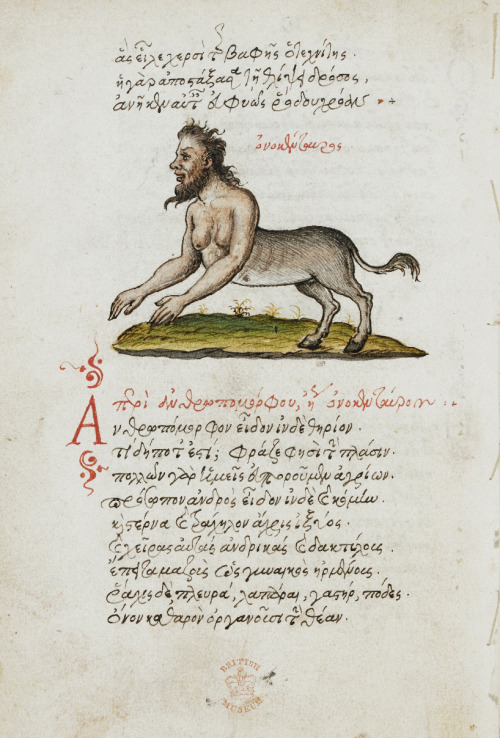 achasma: 1.Miniature of a centaur, 2. Miniature of a cuttle-fish, 3. Miniature of a porcupine, 4. Mi