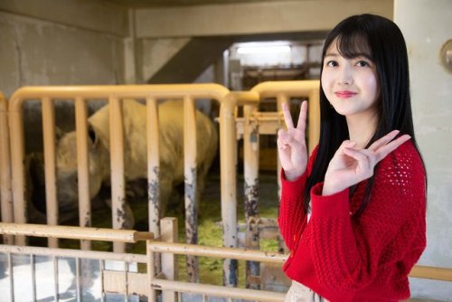 宮城・仙台 旅 しおり 2019.08.10 #八木山動物公園 #八木山ベニーランド