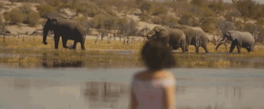 problackgirl:  micdotcom:  The African continent endured unspeakable brutality under