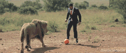  The nigga is playing soccer with a lion. Wearing a suit. And nike sneakers. 