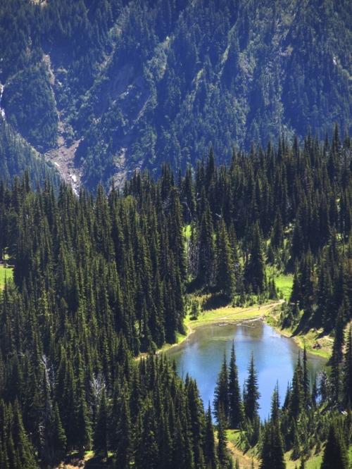 justemoinue2:Lake on a BenchWhite River Canyon, Mount Rainier