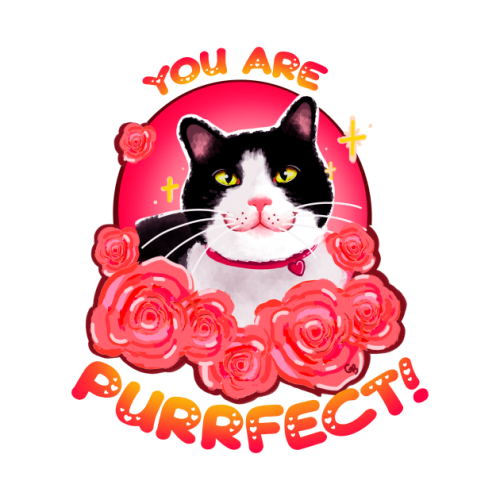 Just a cute comforting cat telling you the truth about confidence, purrfection! Want it on a tee? On