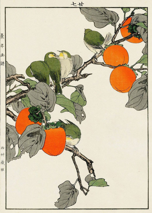 japanese-plants:Kaki and Silvereye by Keinen Imao (1845-1924), included in Keinen Kacho Gafu (Pictur
