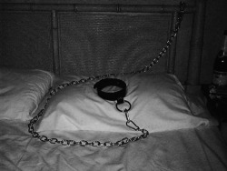 sarpedom:  littlesexpet:  May I sleep with you if I’m chained to the bed like this, Sir?  If you’re very good, you may earn that privilege.  Devotional Training.