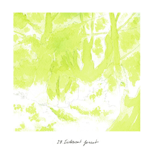 28. Iridiscent forest