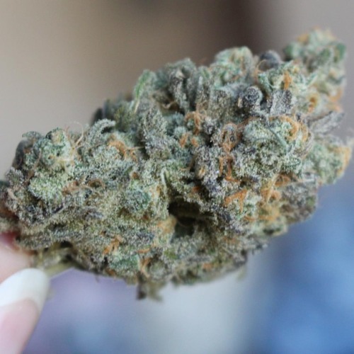 kuush-queen: Sunshine, coffee, and #weed in the morning ☀️ #420
