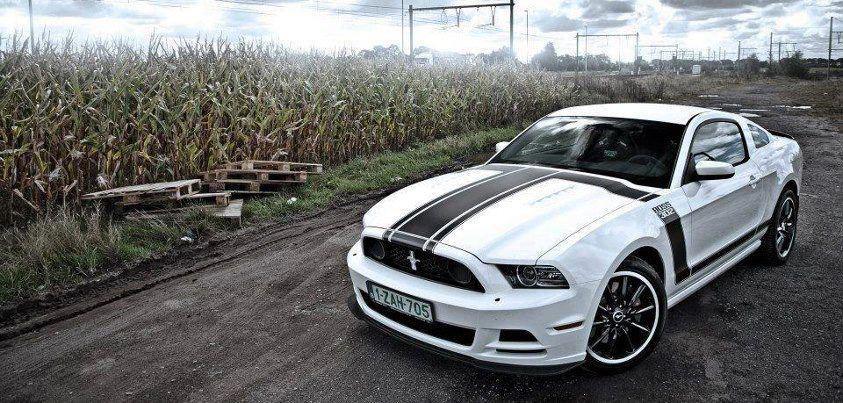 Ford Mustangs