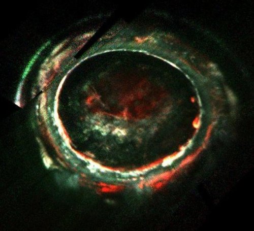 Just like on Earth, other planets in the solar system also have auroras. Jupiter&rsquo;s auroras are